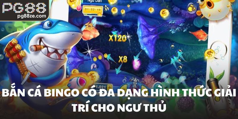 Bắn cá bingo có đa dạng hình thức giải trí cho ngư thủ