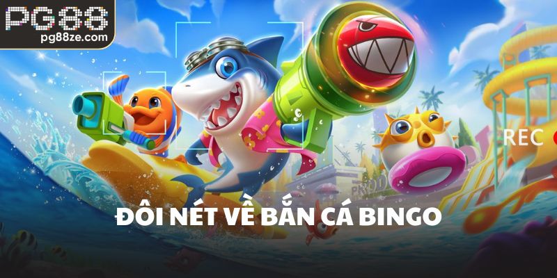 Đôi nét về bắn cá bingo