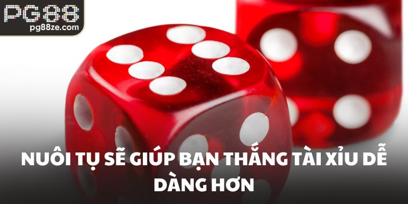 Nuôi tụ sẽ giúp bạn thắng Tài xỉu dễ dàng hơn
