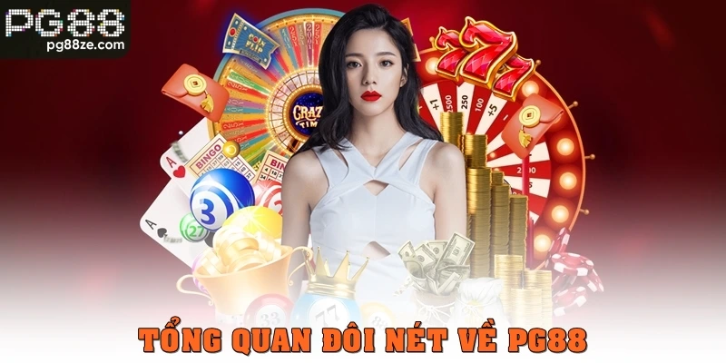 tong-quan-doi-net-ve-pg88